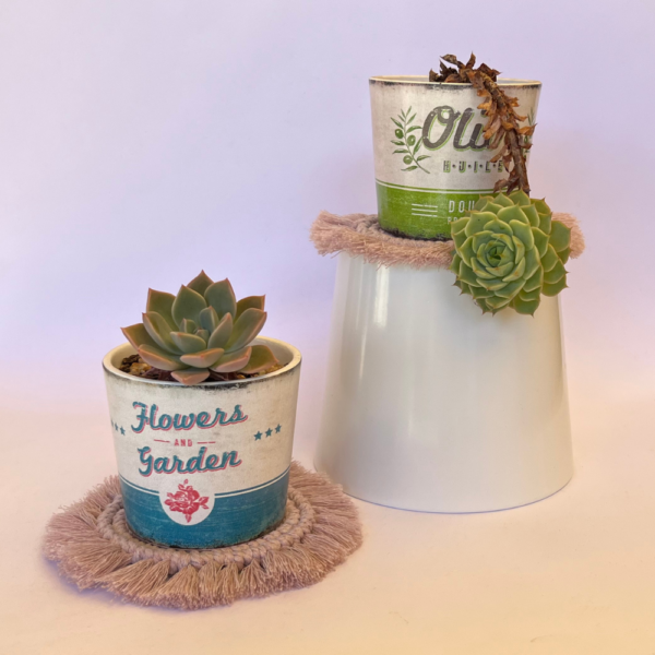 Two macrame coasters placed underneath indoor pot plants.